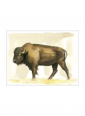 Bison Watercolor Sketch II Wall Poster Brown/Grey/Yellow 85x80x3.5centimeter