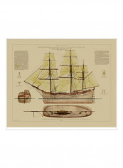 Antique Ship Plan VII Poster Beige/Green/Brown 85x80x3.5centimeter