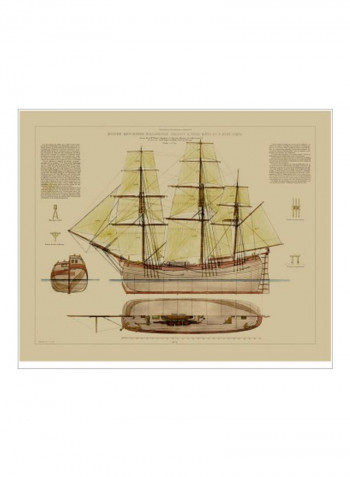 Antique Ship Plan VII Poster Beige/Green/Brown 85x80x3.5centimeter