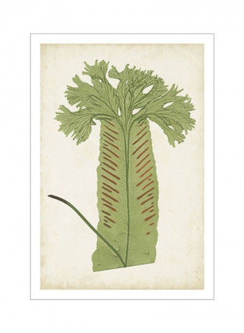 Fern Family V Wall Poster Green/Brown/Beige 80x90x3.5centimeter