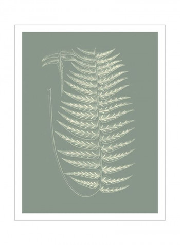 Ferns On Sage VIII Wall Poster Grey/White 80x90 3.5centimeter