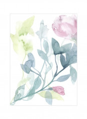 Peony in Light I Wall Poster White/Blue/Pink 80x90x3.5centimeter