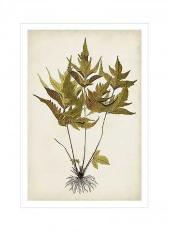 Fern Botanical II Wall Poster Beige/Green/Brown 80x90x3.5centimeter