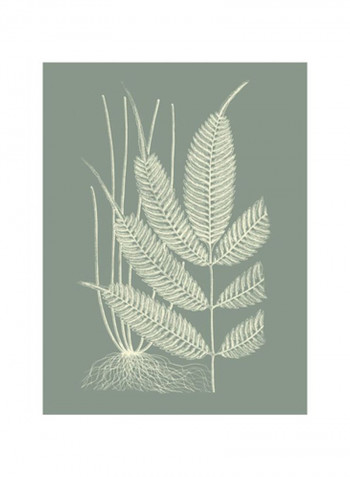 Ferns On Sage II Wall Poster Grey/White 80x90 3.5centimeter