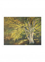 Golden Light I Wall Poster Yellow/Green 90x80x3.5centimeter