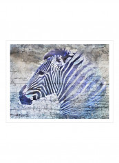 Purple Zebra Poster Blue/Grey 90x80x3.5centimeter