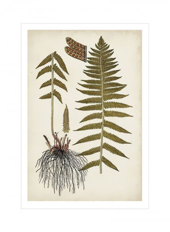 Fern Botanical V Wall Poster Beige/Green/Black 80x90x3.5centimeter