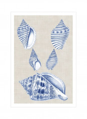 Navy And Linen Shells III Wall Poster Beige/Blue/White 80x90x3.5centimeter