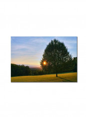 Poesie Florale Iii Wall Decor Canvas Wall Art multicolour 16 x 24inch