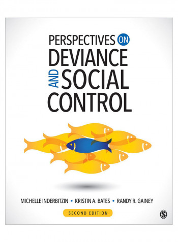 Perspectives On Deviance And Social Control Paperback 2nd Edition
