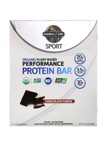 Pack Of 12 Sport Performance Protein Bar 75 g