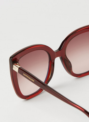 Women's Full Rim Acetate Modified Rectangle Sunglasses - Lens Size: 53 mm
