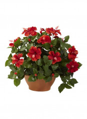 Artificial Hibiscus Plant With Clay Planter Green/Red/Brown reviews Artificial Hibiscus Plant With Clay Planter Green/Red/Brown