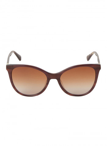 Women's Full Rim Acetate Modified Rectangle Sunglasses - Lens Size: 54 mm