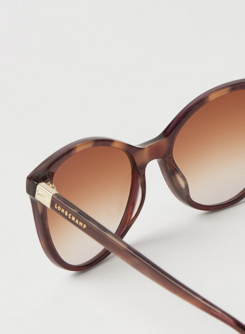 Women's Full Rim Acetate Modified Rectangle Sunglasses - Lens Size: 54 mm