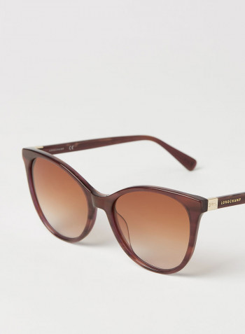Women's Full Rim Acetate Modified Rectangle Sunglasses - Lens Size: 54 mm