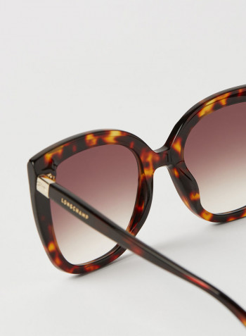 Women's Full Rim Acetate Modified Rectangle Sunglasses - Lens Size: 53 mm