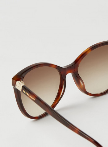 Women's Full Rim Acetate Modified Rectangle Sunglasses - Lens Size: 54 mm