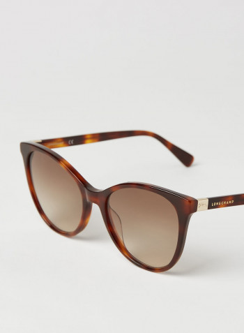 Women's Full Rim Acetate Modified Rectangle Sunglasses - Lens Size: 54 mm