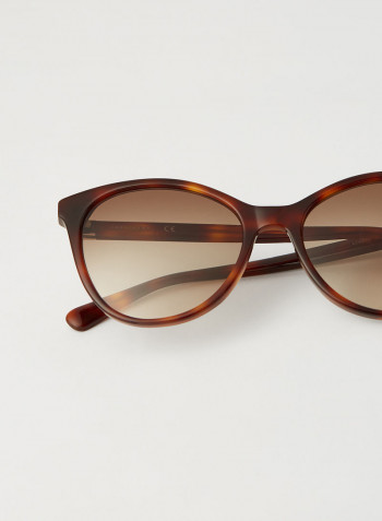 Women's Full Rim Acetate Modified Rectangle Sunglasses - Lens Size: 54 mm