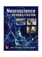 Neuroscience For Rehabilitation Paperback