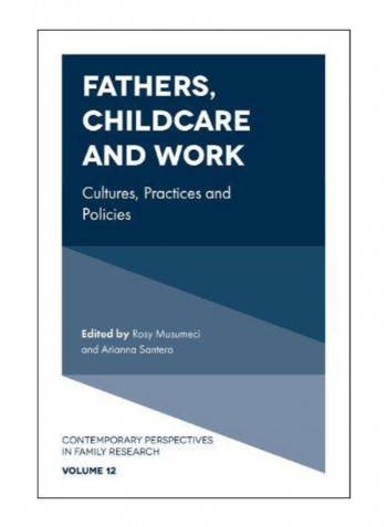 Fathers, Childcare And Work Hardcover