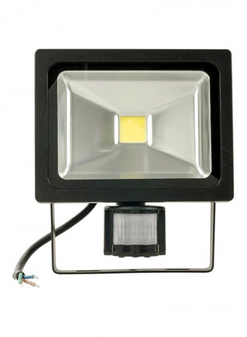 Cob Led Floodlight Black/Clear