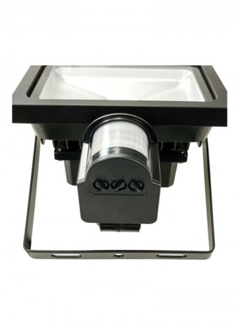 Cob Led Floodlight Black/Clear
