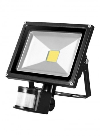 Cob Led Floodlight Black/Clear