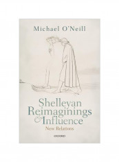 Shelleyan Reimaginings And Influence: New Relations Hardcover