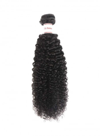 Curly Human Hair Wig Black 22inch