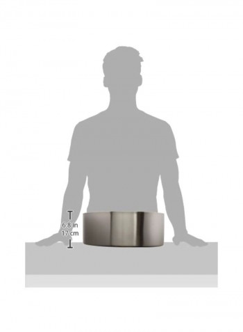 Stainless Steel Bowl Silver 14X14inch