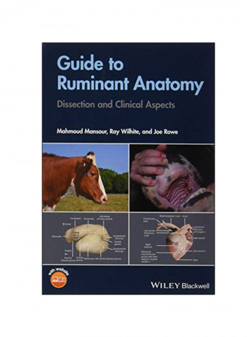 Guide To Ruminant Anatomy Paperback