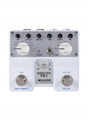 Reecho Pro Digital Delay Guitar Effect Pedal Twin Footswitch