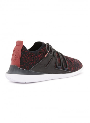 SF Evo Cat Sock Lace LS Sneakers Moonless Night/Pomegranate White