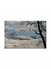 Winter Scene Canvas Wall Art Multicolour 24 x 32inch