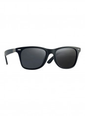 Men's Wayfarer Sunglasses