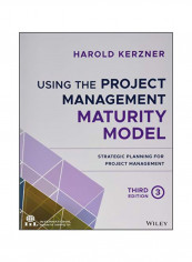 Using The Project Management Maturity Model: Strategic Planning For Project Management Paperback 3