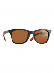 Men's Wayfarer Sunglasses
