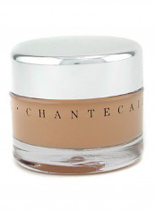 Future Skin Oil Free Gel Foundation - Wheat 30g/1oz