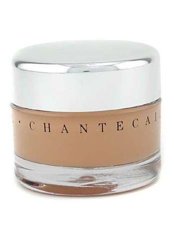 Future Skin Oil Free Gel Foundation - Wheat 30g/1oz