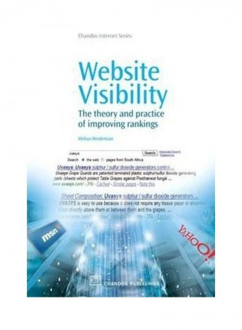 Website Visibility Paperback English by Melius