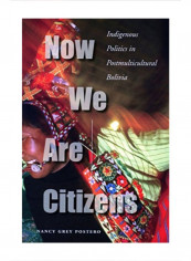 Now We Are Citizens: Indigenous Politics In Postmulticultural Bolivia Hardcover 1