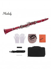 ABS 17-Key Clarinet Bb Flat Beginners Kit