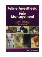 Feline Anesthesia And Pain Management Paperback