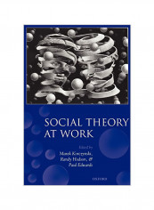 Social Theory at Work Paperback