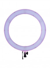 LED Bi-Colour Digital Ring Video Light 51.3x10.2x51centimeter Pink/White