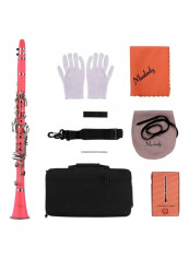 17-Key Bb Clarinet And Woodwind Instrument Set