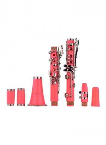 17-Key Bb Clarinet And Woodwind Instrument Set