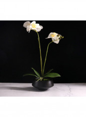 Orchid Simulation Flower with Flowerpot Multicolour 16 x 16 x 38cm